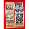 Image 1 : 20 Stereo View Cards (Circa 1900)