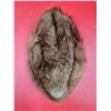 Image 2 : VTG Muskrat Fur Hat