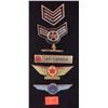 Image 1 : Lot Of VTG Airline Badges