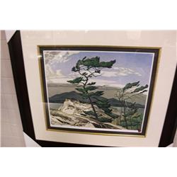 Lep Print "white Pine " By Aj Casson
