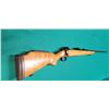 Image 1 : Savage Model 110 7mm Rem Magnum