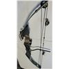 Image 1 : SIR Viper Compound Bow