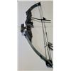 Image 2 : SIR Viper Compound Bow