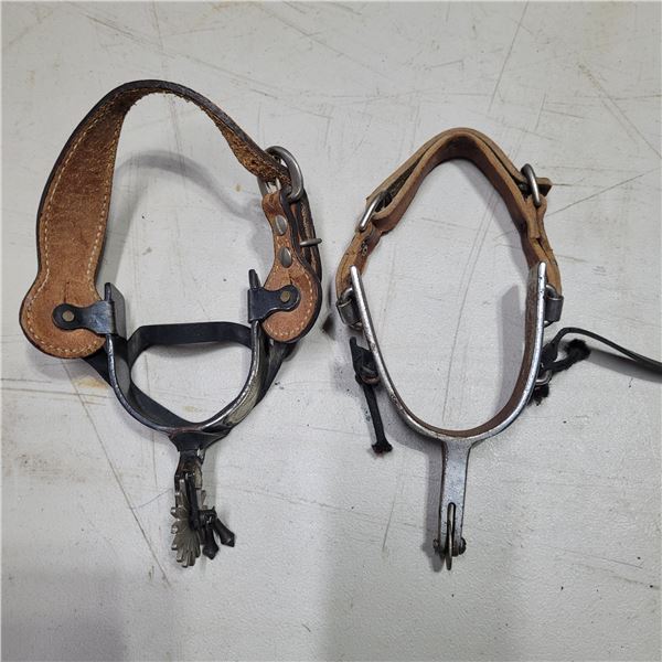 Set of Mismatched Riding Spurs