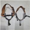 Image 1 : Set of Mismatched Riding Spurs