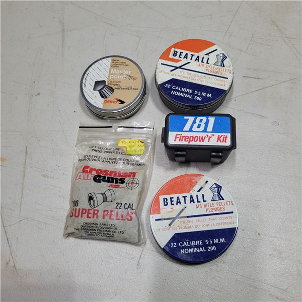 .22 Cal Pellets