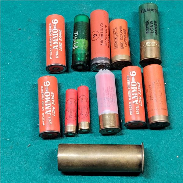 Assorted Collectable Shotgun Ammo
