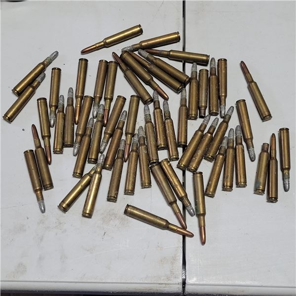 .256 Newton RELOADED Ammo 50 Cartridges