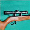 Image 3 : Winchester .177 Cal Pellet Rifle
