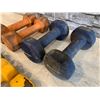 Image 6 : Lot of 5 Pairs Work Out Weights