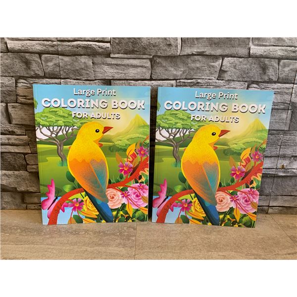 Lot of 2 Large Print Coloring Book for Adults
