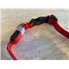 Image 5 : Masbrill Led Dog Collar - Large Red
