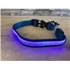 Image 5 : Masbrill Led Dog Collar - Medium Blue
