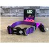 Image 2 : Masbrill Led Dog Collar - Small Purple