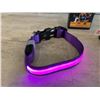 Image 3 : Masbrill Led Dog Collar - Small Purple