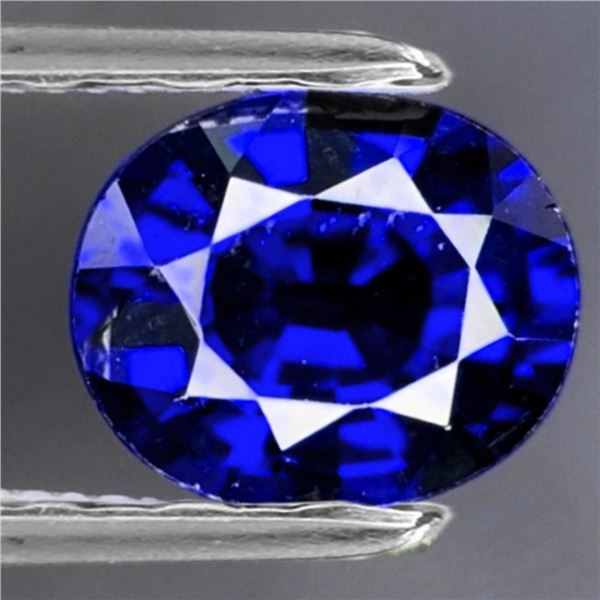 Natural Oval Royal Blue Sapphire [VVS]