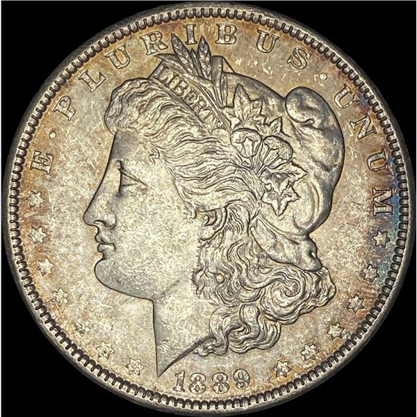 1889 Morgan Silver Dollar CHOICE BU