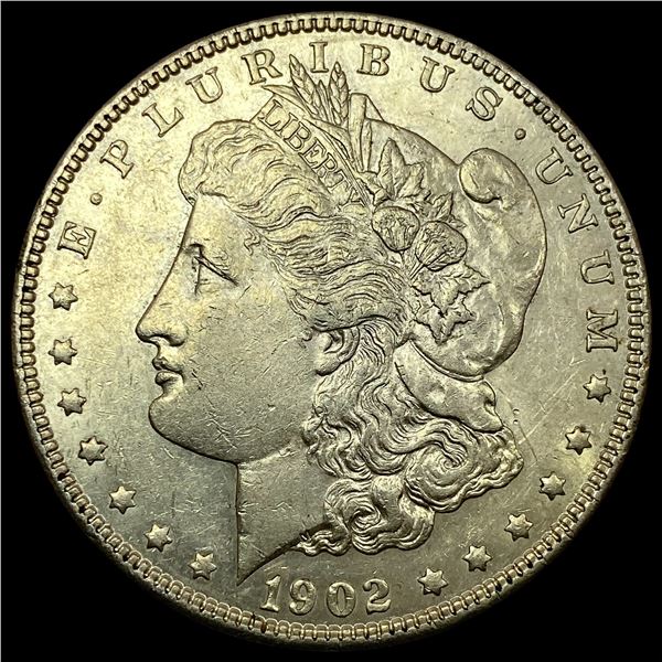 1902 Morgan Silver Dollar CHOICE AU