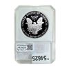 Image 2 : 2006-W Silver Eagle PCI PR70 DCAM