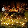 Image 8 : 4-Pack of LED Solar Garden Decorative Lights for Outdoors - Waterproof Solar Outdoor Lights - New