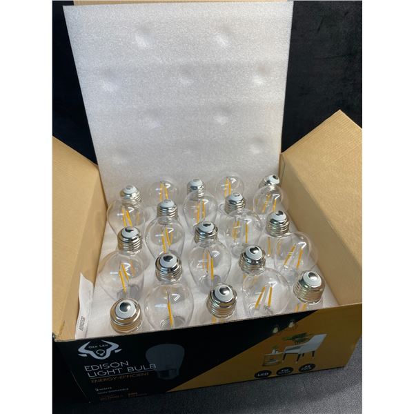 25-Pack Box of LED Edison Light Bulbs - E26 Socket - Brand New