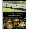 Image 6 : 8-Pack of Solar Pathway LED Lights for Lawn/Garden - New
