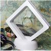 Image 2 : 30PC Floating 3D Transparent Display Frames for Coins/Jewelry/Collectibles - New