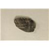 Image 2 : SILVER RUSSIAN WIRE MONEY CIRCA 1532-1584