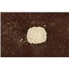 Image 2 : 886-918 A.D. SILVER OTTOMAN EMPIRE BAYAZID II
