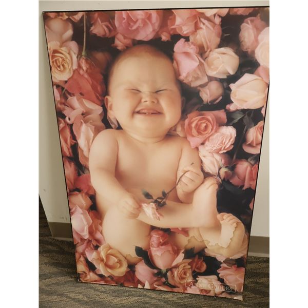 PHOTO LAMINÉE ANNE GEDDES 24"x36"