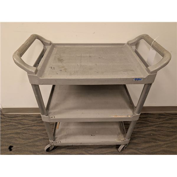 CHARIOT 30"x19"x34" ASST