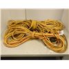 Image 1 : LOT DE 3 EXTENSIONS ELECTRIQUES 50' OU PLUS