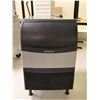 Image 1 : MACHINE À GLACE SCOTSMAN UC2024SA-1A 24"x28"x40"