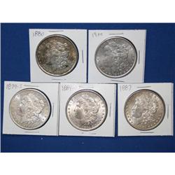 Morgan Dollars Times the Money