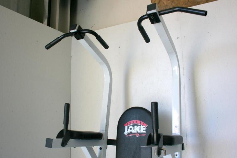 Body By Jake PullUp/Dip/Knee Raise Power Tower