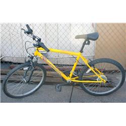 Roadmaster Mountain Bike