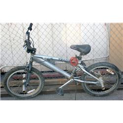 AMX Extreme BMX Bike