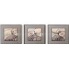 Image 1 : Blossoms Lightly Flying (Coffee) - Luxury Wall Art with Frame - 65.5 x 65.5 cm × 3 Panels (New in Bo