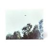 Image 1 : Photograph: UFO Over Trees - Ontario Canada, 1973 - Taken by Anonymous