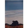 Image 10 : 3 Pc Set - Photographs: UFO Over Field - Ipamari Goyas Brazil, Nov. 15 1978 - Taken by Roberto Edils