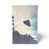 Image 3 : 3 Pc Set - Photographs: Triangle Shaped UFO - San Salvadore Argentina, 1992 - Taken by Hugo Batallam