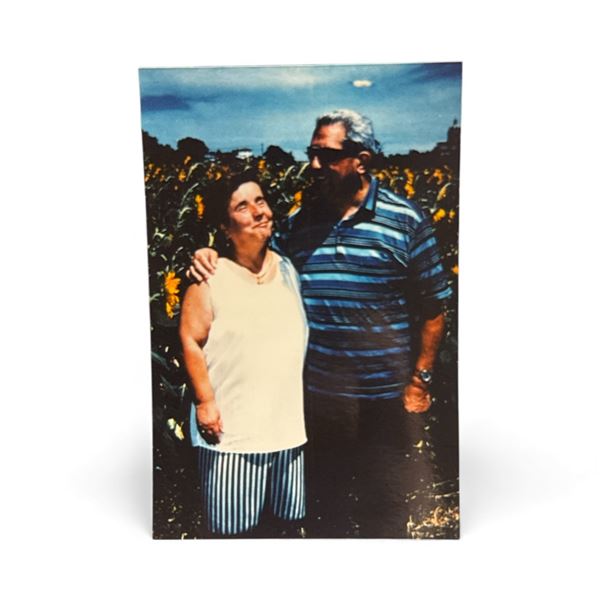 Photograph: Background UFO - Maceraca Italy, July 1997 - Taken by Carlo Bartolozzi