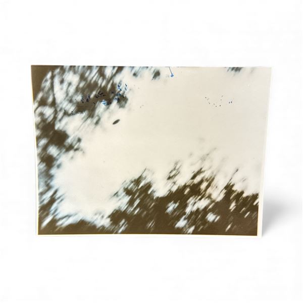 Photograph: Fluying Disc Through Forest - Oct. 4 1981 - Anonymous Photographer