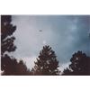 Image 18 : 12 Pc Set - Photographs: UFO in the Night Sky - Gulf Breeze FL USA, Sept. 24 1994 - Taken by Phil Sa