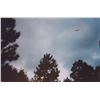 Image 20 : 12 Pc Set - Photographs: UFO in the Night Sky - Gulf Breeze FL USA, Sept. 24 1994 - Taken by Phil Sa