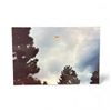 Image 3 : 12 Pc Set - Photographs: UFO in the Night Sky - Gulf Breeze FL USA, Sept. 24 1994 - Taken by Phil Sa