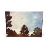 Image 7 : 12 Pc Set - Photographs: UFO in the Night Sky - Gulf Breeze FL USA, Sept. 24 1994 - Taken by Phil Sa