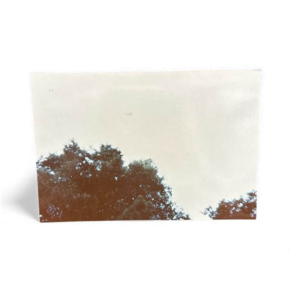 Photograph: UFO in Flight - Gulf Breeze FL USA. Oct. 11 1994 - Taken by Mike Hawkins