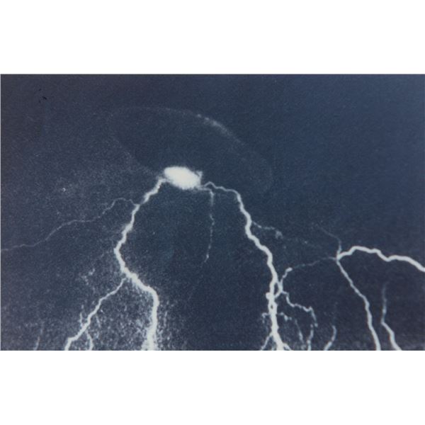 Photograph: Electrified UFO: Vail CO, USA, July 3 1994 - Taken by Morris Reardon