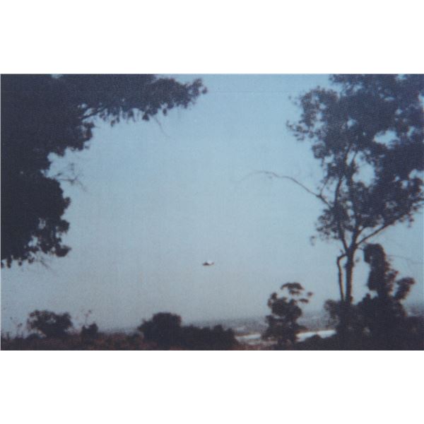 Photograph: UFO Through Trees - El Cerro De La Estrella Mexico, June 17 1996 - Taken by Francisco Su